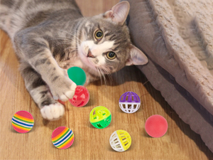 cat toys balls