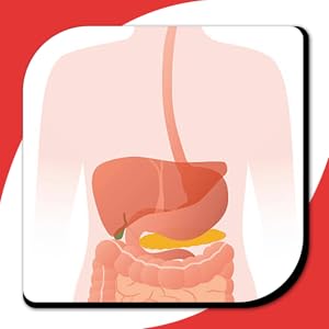 Pro Nutrition & Fitness 500ml Shaker with 100% Whey Isolate Protein 33gm (1 Serving) SPN-FOR 1