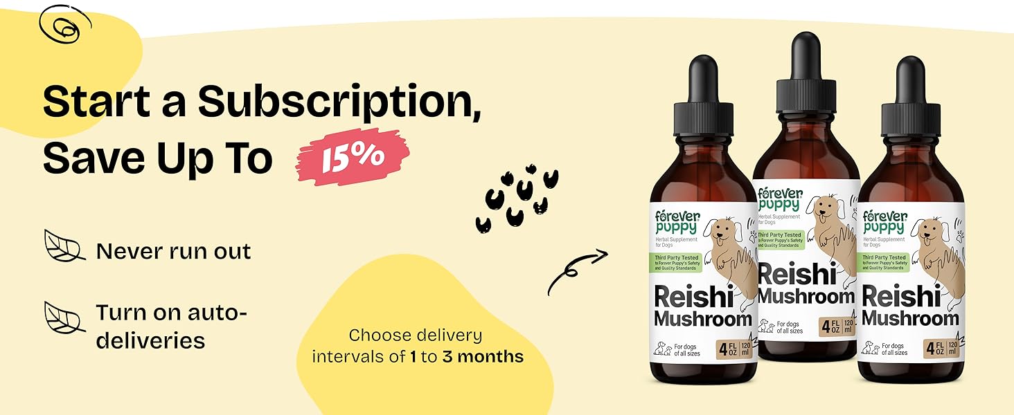 reishi tincture reishi extract organic reishi mushroom red reishi mushroom supplement