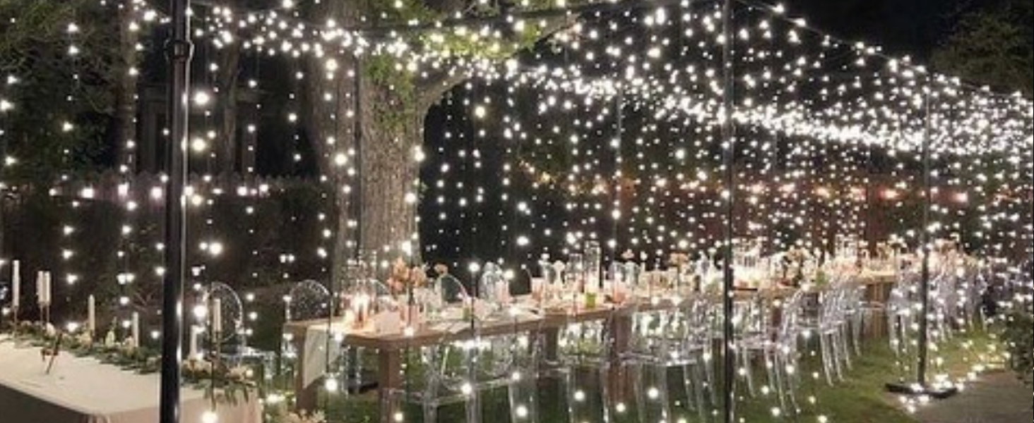 5mm warm white LED light string with brown wire for indoor or outdoor professional décor