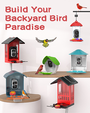 smart bird feeder