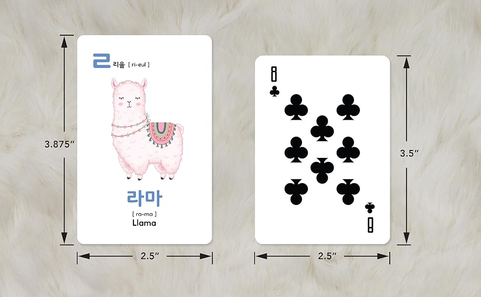 Amazon.com: Stellarsol Toddler Korean Flashcards – 55 Fun