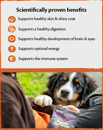 Scientifically proven benefits of premium dog treats and dog food