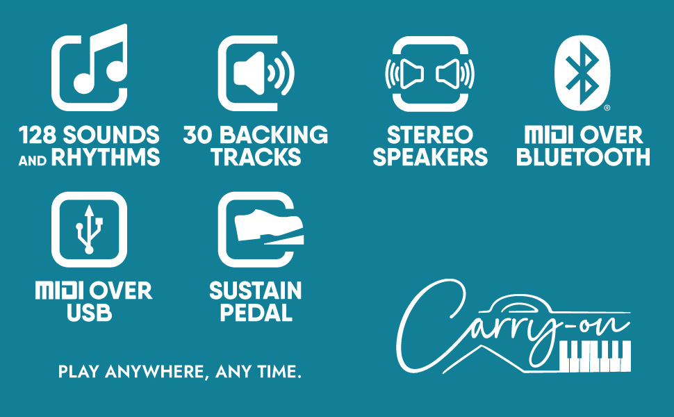 Carry-on-DWI-2-PLUS-A+-Content-ENG-3