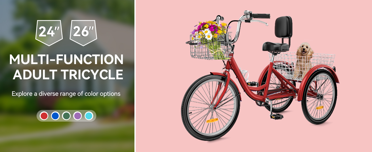 adult tricycle