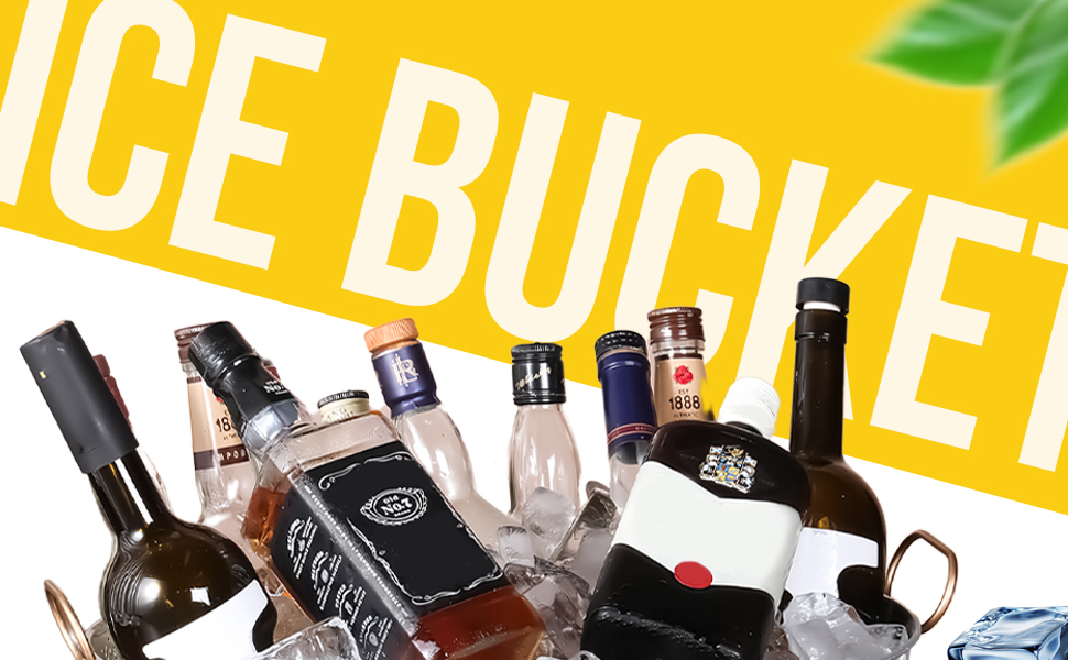 Ice Bucket