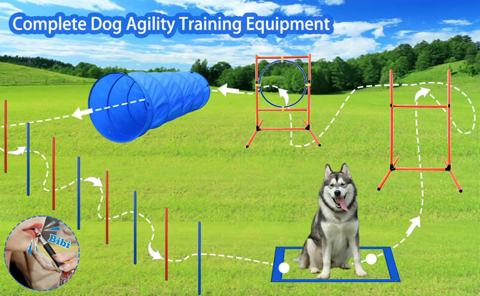 Dog Obstacle Course Training Starter Kit Pet Outdoor Game