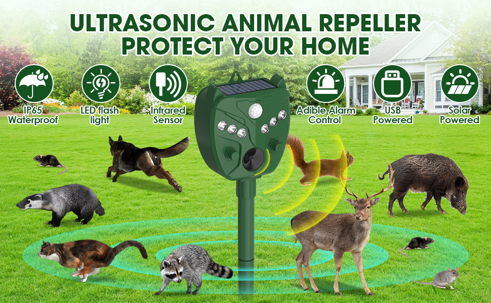 Animal Deterrent