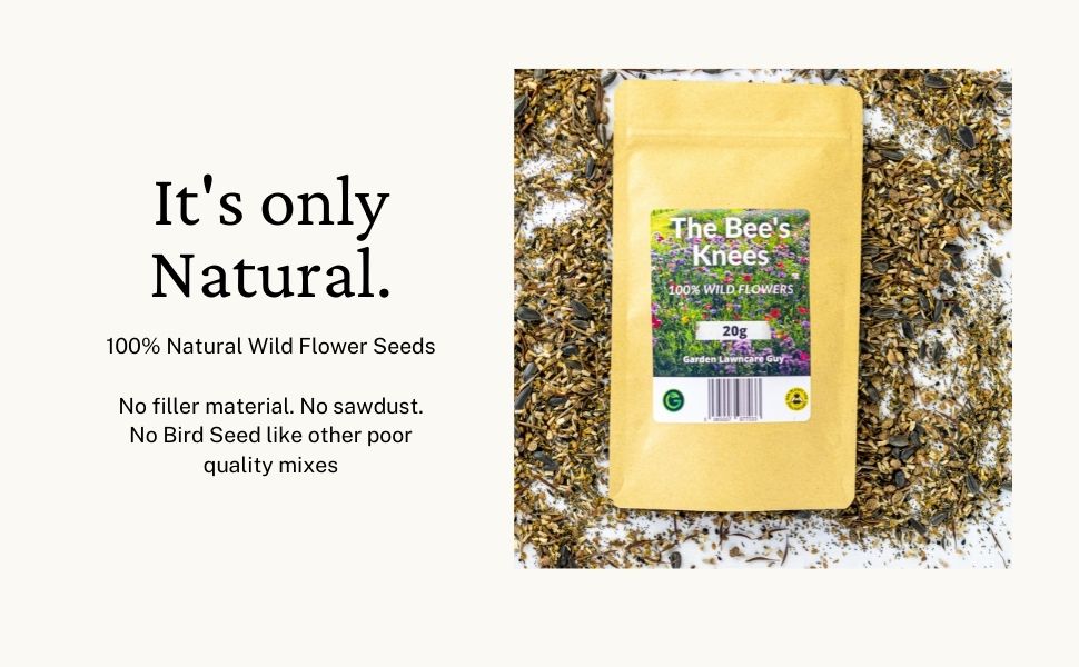 Bees & Butterflies Wildflower Seeds to Scatter for an Easy to Grow High