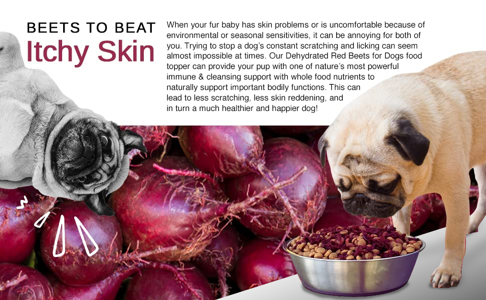 Olewo Original Red Beets for Dogs Natural Anti Itch for