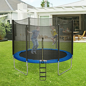 trampoline ladder