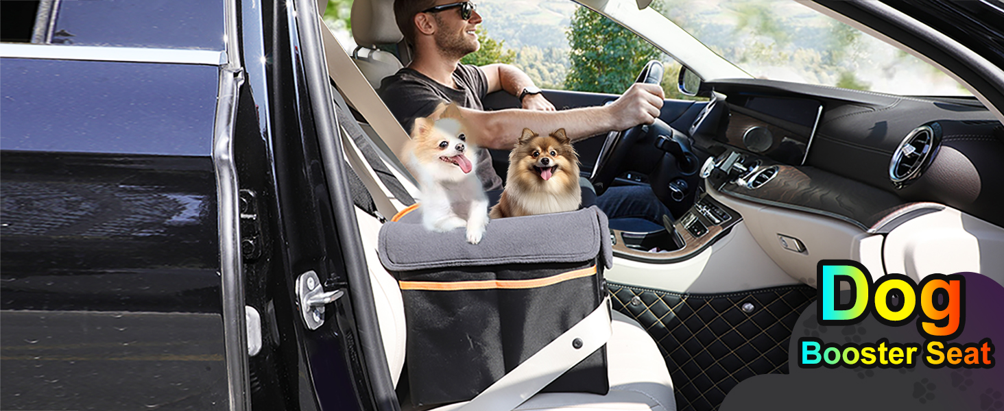 dog car seat