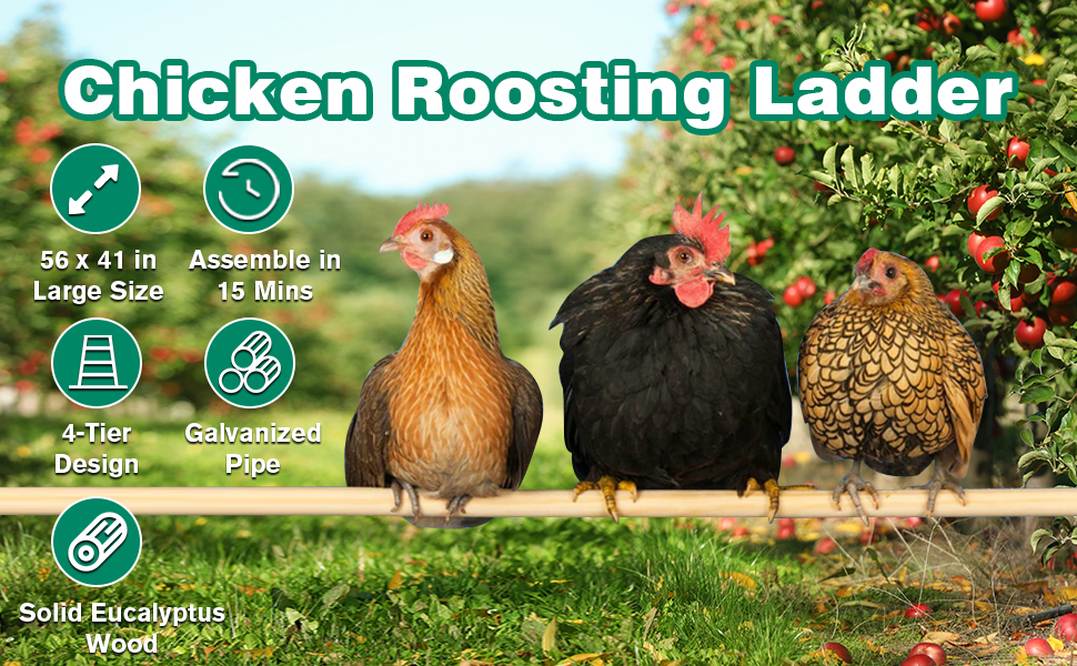 Chicken Perch Chicken Roosting Bars for Chicken Coop