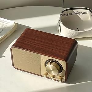 LYLIFON RETRO RADIO