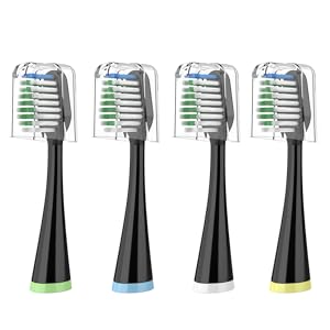 waterpik toothbrush replacement heads