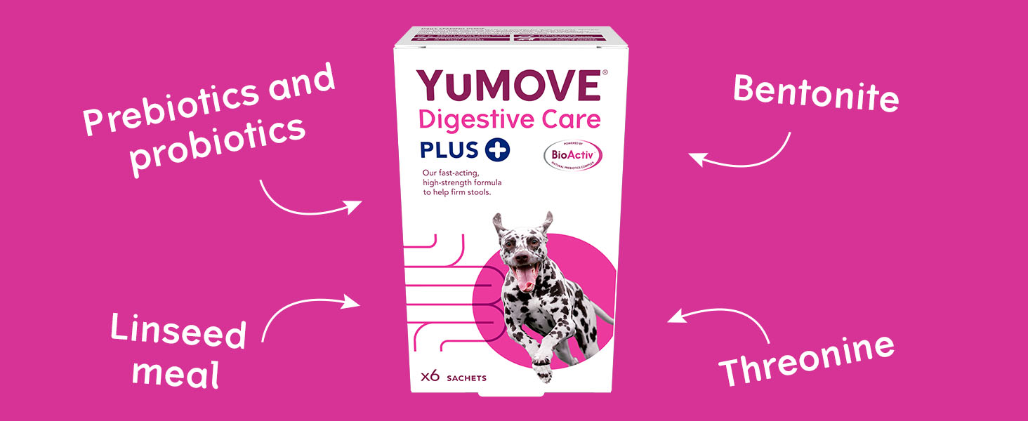 YuMOVE Digestive Care PLUS Previously YuDIGEST PLUS Veterinary