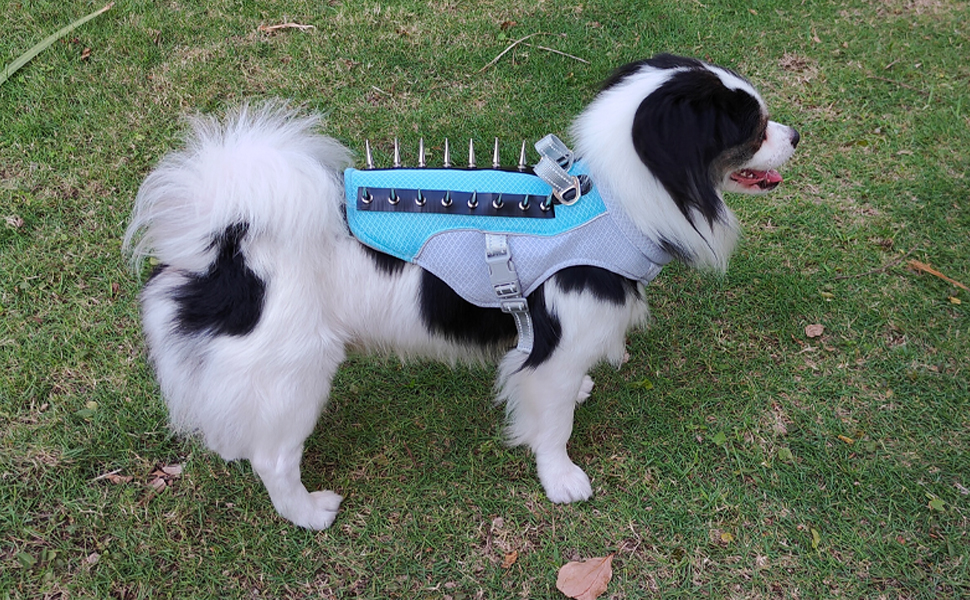 Dog Cooling Vest Summer Dog Harness for Small Medium Dogs