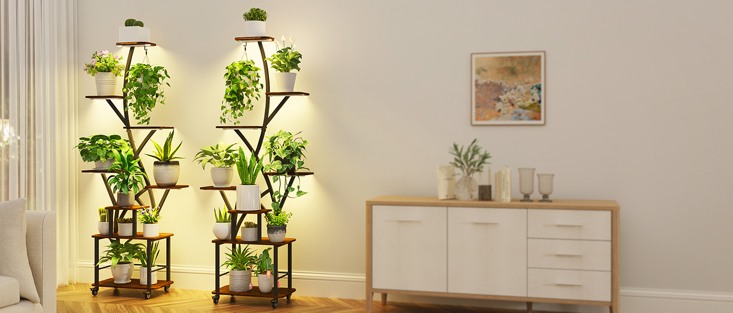 plant stand indoor