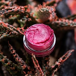 lip balm made with apricot oil