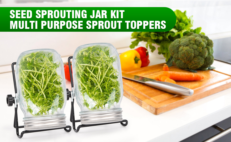 Seeds Sprouting Kit