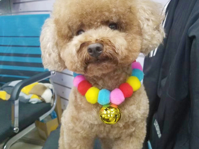 leconpet Pom Pom Dog Collar