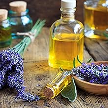 Lavendel