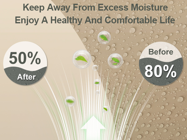 Dehumidifier for Home 