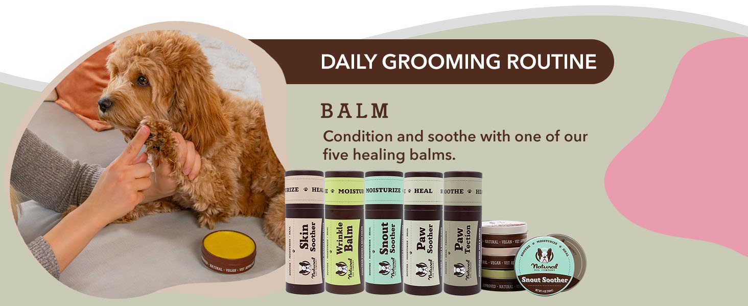 puppy paw balm shea butter for dogs dry dog paws dog paw protection