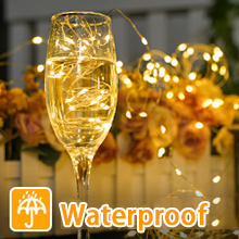 fairy lights with remote