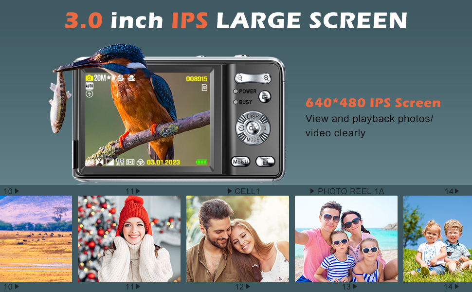 Large screen camera