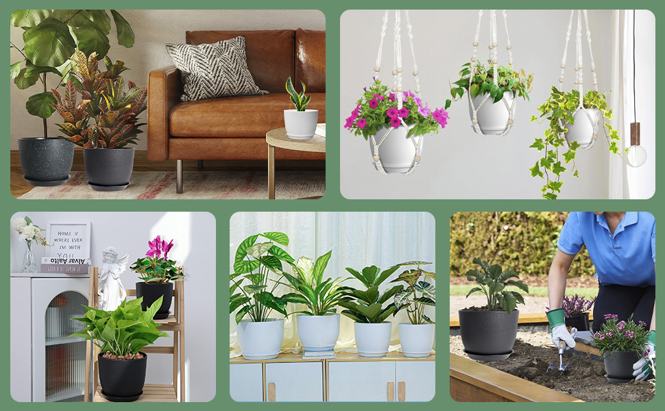 Plastic Plant Pot