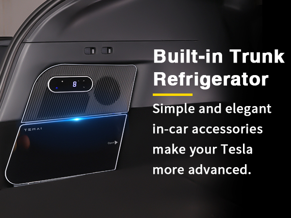 Tesla Model Y トランク フリーザー Amazon.com: CHERY INDUSTRIAL.COM Car Refrigerator 12 Volt