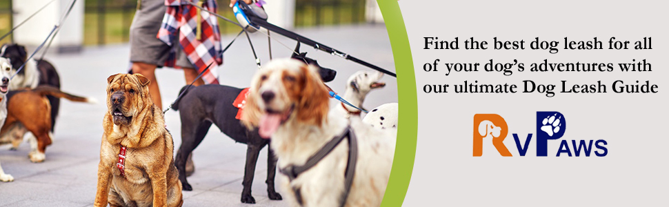 SPN-RECPP B0B147PMX5