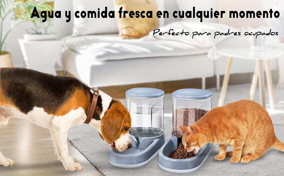 comedero automático para gatos