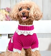Hundepullover
