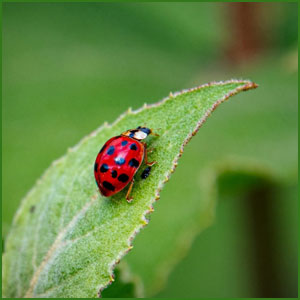 Small manufacture image 2