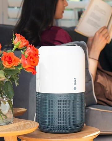 Fjord air purifier with book