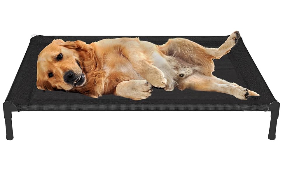 Cachorro, cama, confortavel, cama suspensa