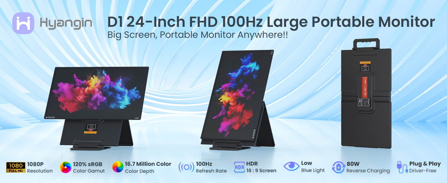 D1 24-Inch FHD 100Hz Large Portable Monitor