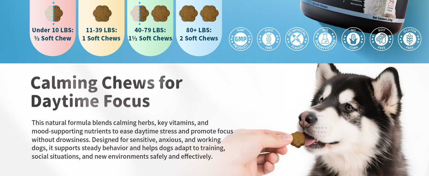 calming chews for dogs