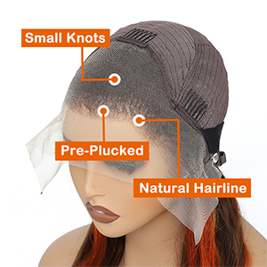 Highlight Body Wave Lace Front Wig 
