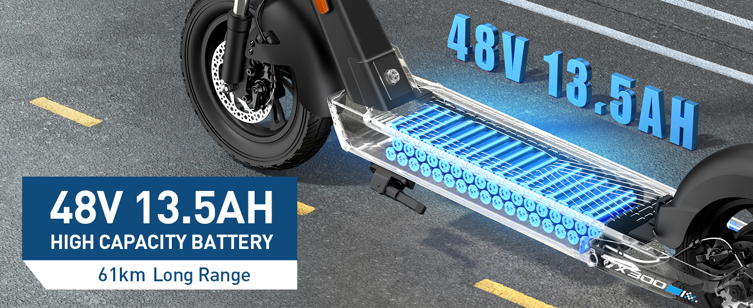 electric scooter for adult