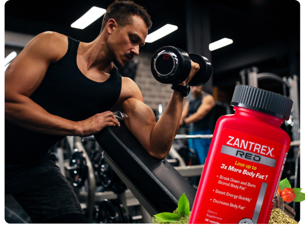 Amazon.com: Zantrex Red Body Recomposition & Active Energy
