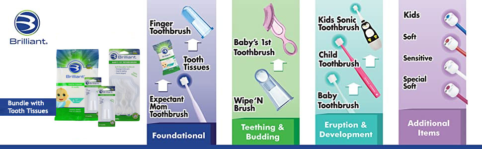 Bundle with Tooth Tissue