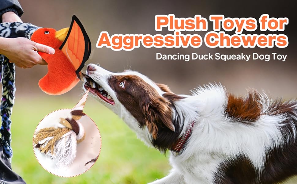 duck dog toy