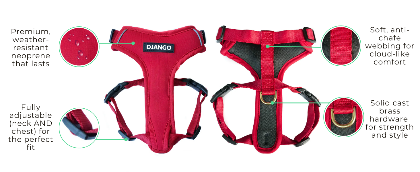 This padded dog harness and secure escape-proof harness for dogs - neoprene dog harness small dogs