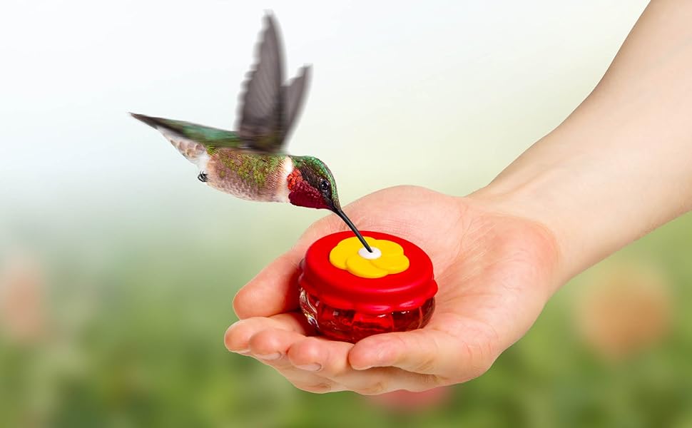 Handheld Small Glass Hummingbird Feeders (Set of 2) with