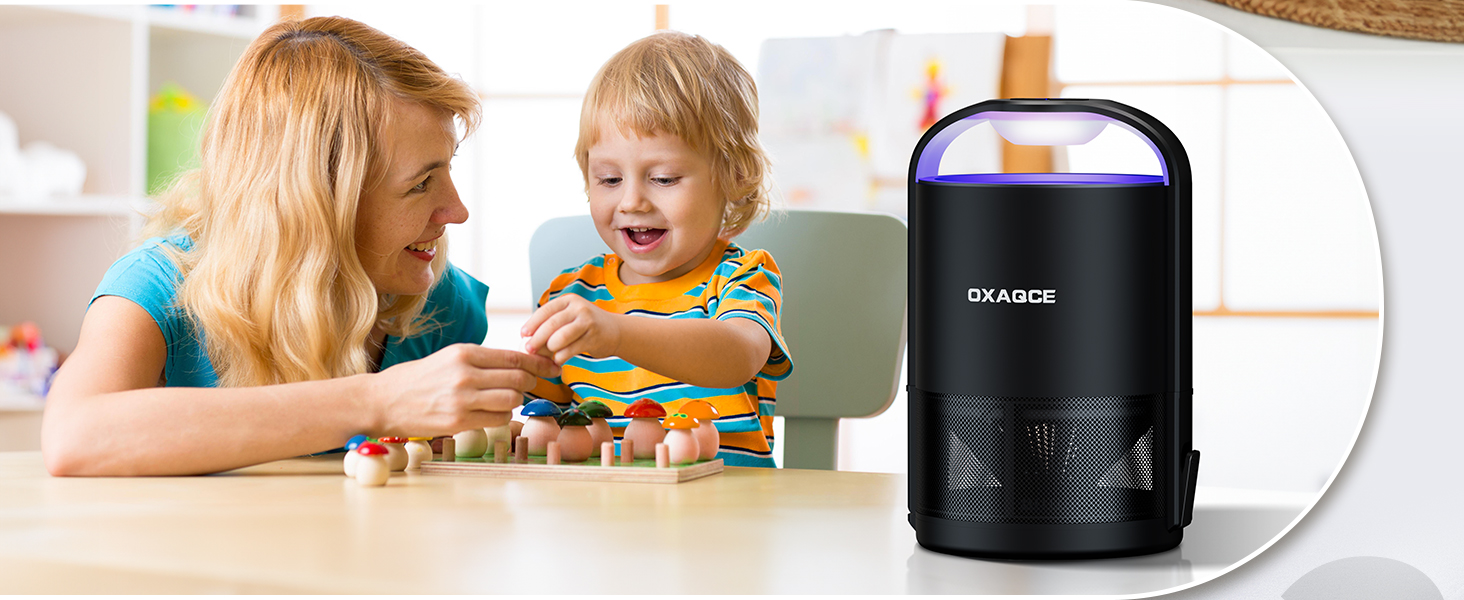 Fly Traps for Indoor Use