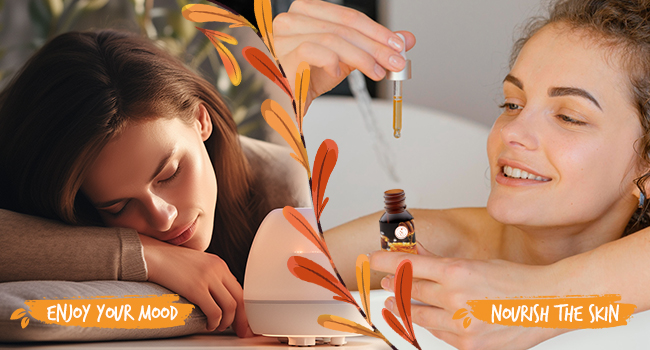 Essential Oils Set