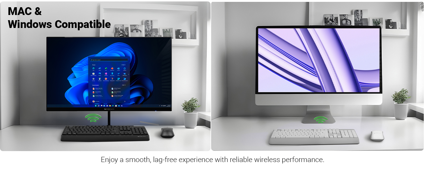 MAC & WIndows Compatible 